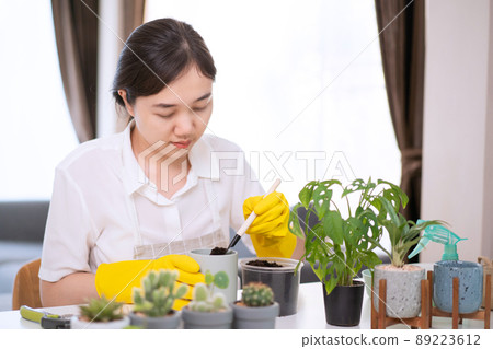 Cheerful happy Asian woman planting a small houseplant in the room close up, gently water a plants by using water spray. Asian happy girl enjoy planting and watering a cactus  and houseplant. 89223612