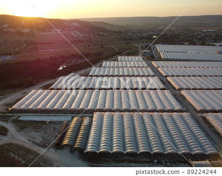 Aerial drone view of huge areas greenhouse for growing vegetables. Greenhouse farming, agriculture industry. Flying over large industrial greenhouses at sunset. 89224244