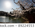 Cherry blossoms in full bloom and a pond in the park illuminated by the spring morning sun 89224553