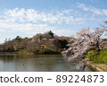 Spring morning scenery with a pond where cherry blossoms and waterfowl are in full bloom 89224873