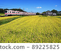 Sunny autumn! Kobe Electric Railway 5000 series 89225825