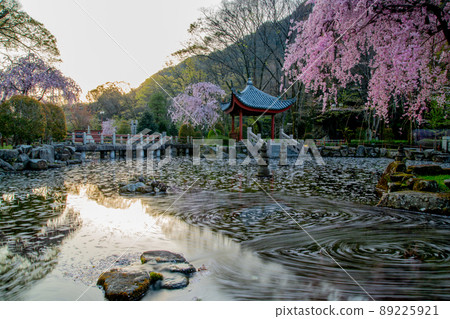 A flower raft that draws a beautiful trajectory in the morning sun A flower raft that draws a beautiful trajectory in the morning sun 89225921