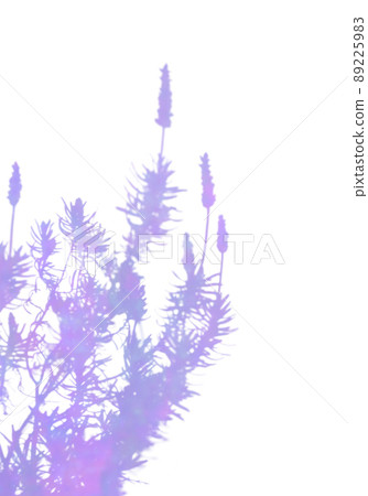 用各種顏料繪製的薰衣草剪影 89225983