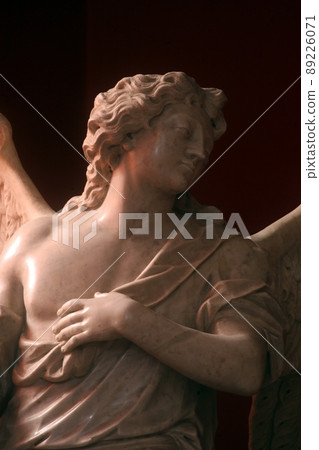 Angel Angel 89226071