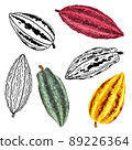 Cocoa pods. Watercolor and graphic fruit isolated on white. Illustration 89226364