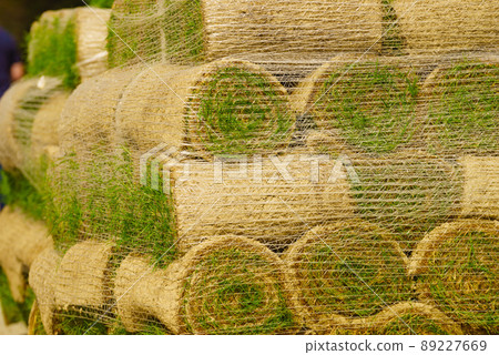 Stacks of sod rolls for new lawn 89227669