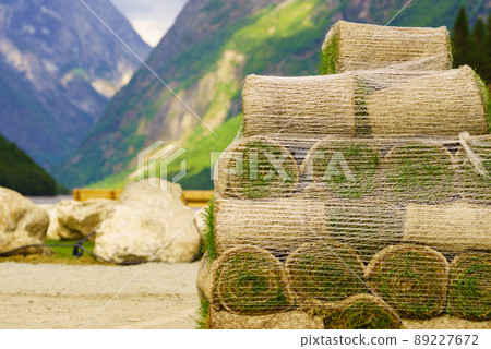 Stacks of sod rolls for new lawn 89227672