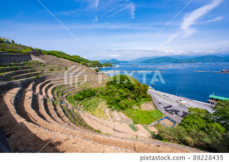 Egi縣宇和島市Yuuko Water loadpo草原領域 89228435