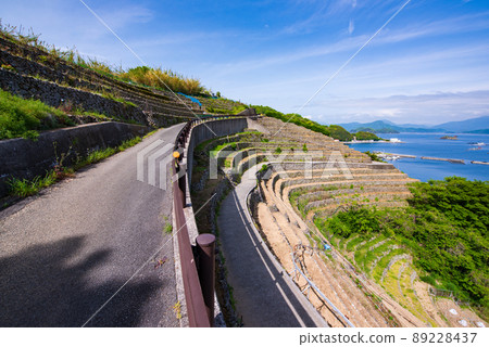 Egi prefecture Uwajima-shi Yuuko Water loadpo steppe field 89228437