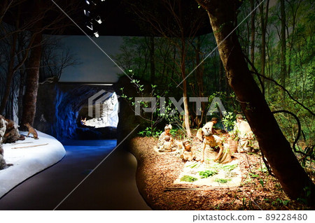 新潟縣立歷史博物館（新潟縣） 89228480