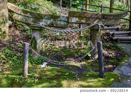 Buried Torii at the Cow 's Foot Inari Shrine Buried Torii at the Cow 's Foot Inari Shrine 89228814