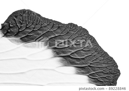 blue purple red yellow abstract acrylic painting color texture on white paper background by using rorschach inkblot method 89228846