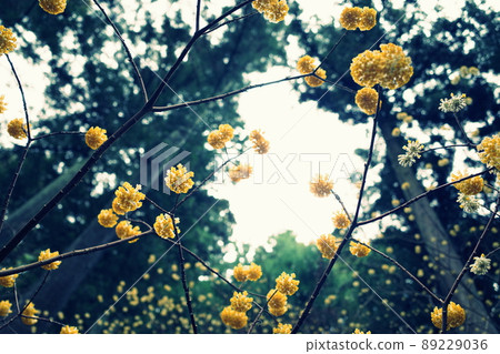 三俁相框 89229036