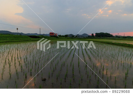 初夏鄉村與地方線景（黃昏） 89229088