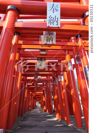 小泉稻荷神社群馬伊勢崎鳥居 小泉稻荷神社群馬伊勢崎鳥居 89230331