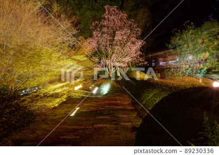 Kyoto Sennyuji Temple Unryu-in Illumination and Sakura Kyoto Sennyuji Temple Unryu-in Illumination and Sakura 89230336