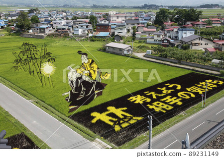 Rice field art old man 2 89231149
