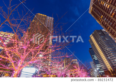 Meguro River Winter Cherry Blossom Illuminations Tokyo Winter Scenery 89231472