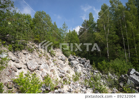 Former marble quarry landscape with pine trees 89232004