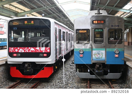 Izukyu Line 3000 series and 8000 series waiting for departure at Izukyu Shimoda Station Izukyu Line 3000 series and 8000 series waiting for departure at Izukyu Shimoda Station 89232016