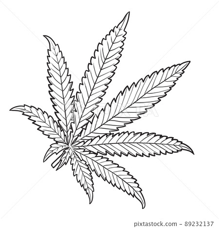 Marijuana leaf in black and white Marijuana leaf in black and white 89232137