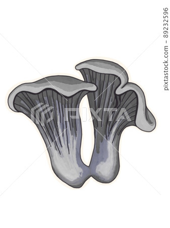Hand drawing mushrooms on white background clipart 89232596