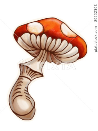 Hand drawing mushrooms on white background clipart 89232598
