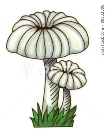 Hand drawing mushrooms on white background clipart 89232609