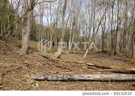 Yubari Municipal Southern Elementary School closed (closed) 89232610