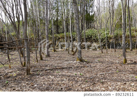 Yubari Municipal Southern Elementary School closed (closed) 89232611