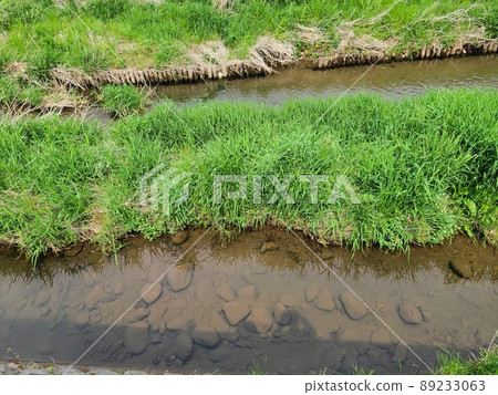 Beautiful stream in the countryside Beautiful stream in the countryside 89233063