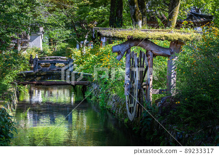 松尾大社、水車和石橋內盛開的山吹 松尾大社、水車和石橋內盛開的山吹 89233317