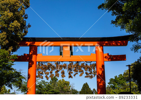 Matsuo Taisha Shrine, the first torii built in the early summer sunshine 89233331