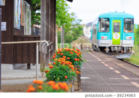 Marigolds and trains blooming inside the station Marigolds and trains blooming inside the station 89234063