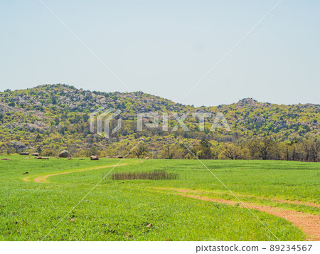 Sunny view of the Osage Lake trail 89234567