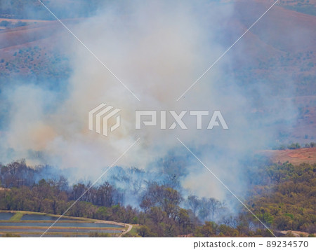 High angle view of the forest burning in Medicine Park 89234570
