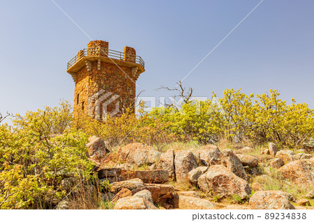 Sunny view of Lake Jed Johnson Tower 89234838