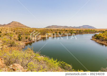 Sunny view of the Lake Jed Johnson 89234839