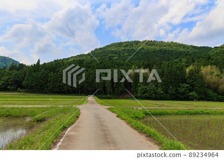 Tamba-Sasayama countryside atmosphere "rice fields and roads" 89234964