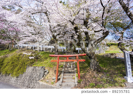 Misaki Shrine in full bloom in the Southern Alps, Yamanashi Prefecture 89235781