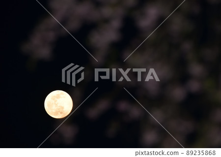 北斗市白州町 4 月 14 日夜晚的月亮和垂枝櫻花在傍晚的天空中升起 89235868
