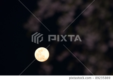 北斗市白州町 4 月 14 日夜晚的月亮和垂枝櫻花在傍晚的天空中升起 北斗市白州町 4 月 14 日夜晚的月亮和垂枝櫻花在傍晚的天空中升起 89235869