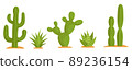 Mexican cactuses and succulents set 89236154