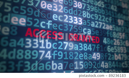 ACCESS GRANTED text and program code on the computer screen. 3D rendering 89236183