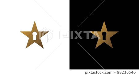 Cool and modern key star logo 89236540