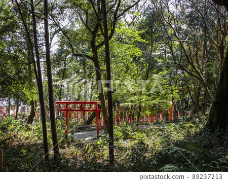 位於小牧山半山腰的稻荷神社鳥居 89237213
