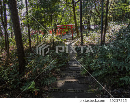 小牧山山坡上稻荷神社的參道和牌坊 小牧山山坡上稻荷神社的參道和牌坊 89237215