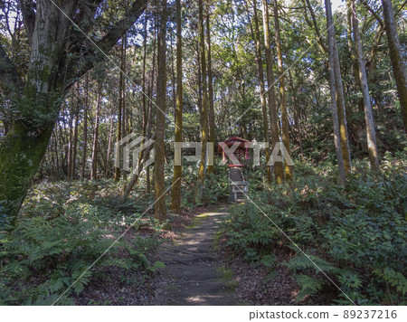 小牧山山坡上的稻荷社吉五郎 小牧山山坡上的稻荷社吉五郎 89237216