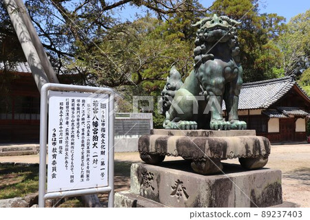 Wakamiya Hachimangu, a gold-copper guardian dog 89237403