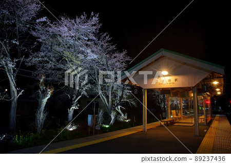 下吉田站的夜櫻 下吉田站的夜櫻 89237436